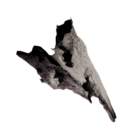 Anima - Finance and fundraising