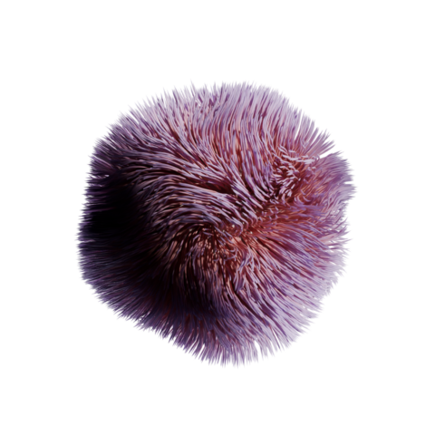 Anima - Corporate strategy