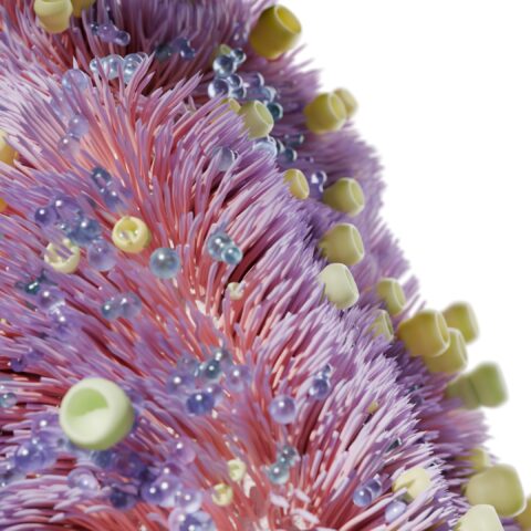 Anima | Growing nature-inspired companies