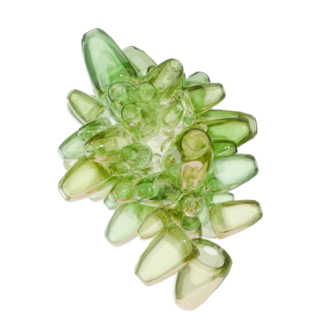 Anima - Human ressources