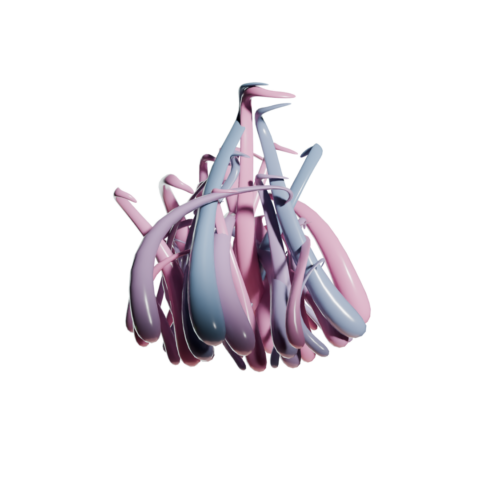 Anima - The biomimicry venture studio